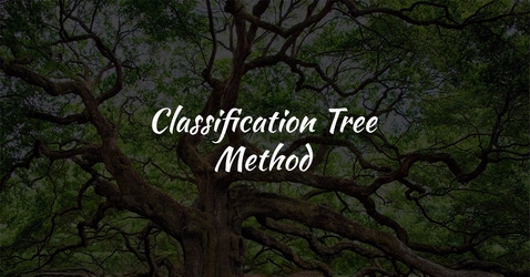 Classification Tree Method - How to crack ISTQB?